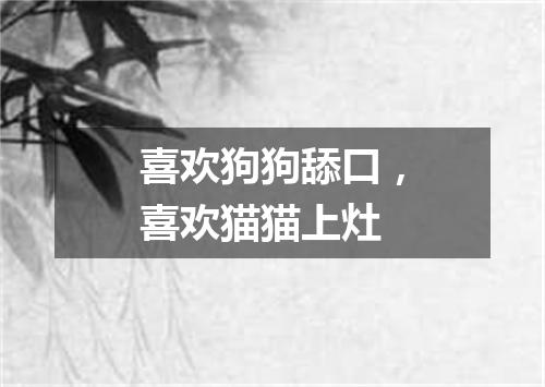 喜欢狗狗舔口，喜欢猫猫上灶