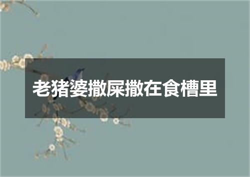 老猪婆撒屎撒在食槽里