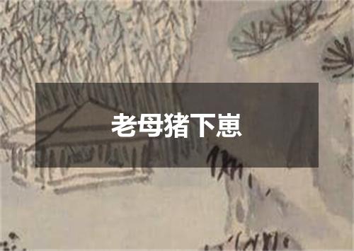 老母猪下崽