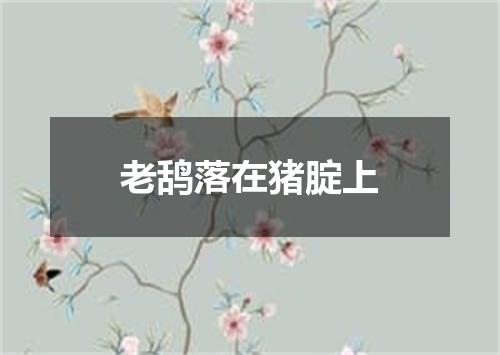 老鸹落在猪腚上