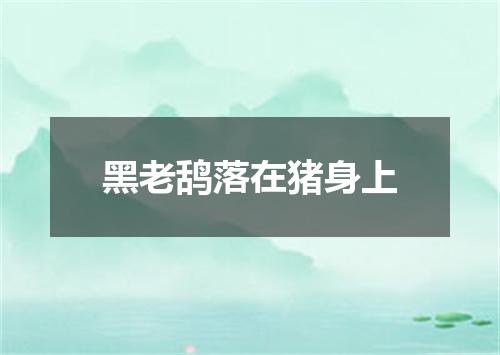 黑老鸹落在猪身上