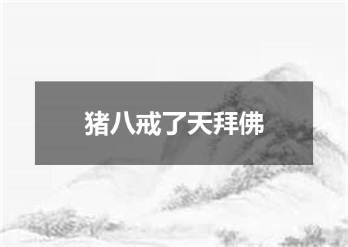 猪八戒了天拜佛