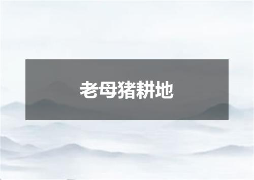 老母猪耕地