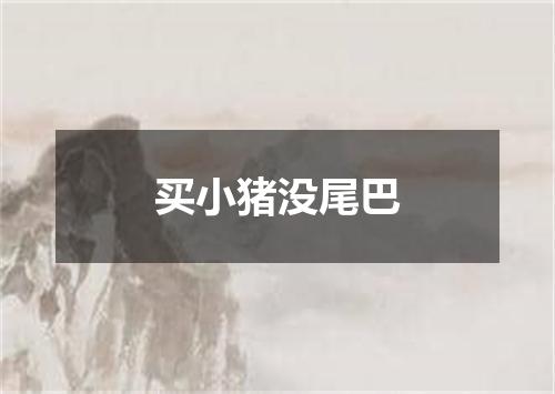 买小猪没尾巴