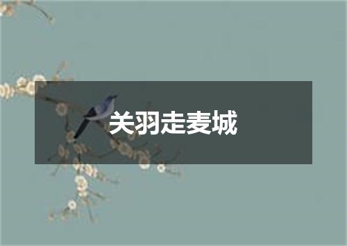 关羽走麦城