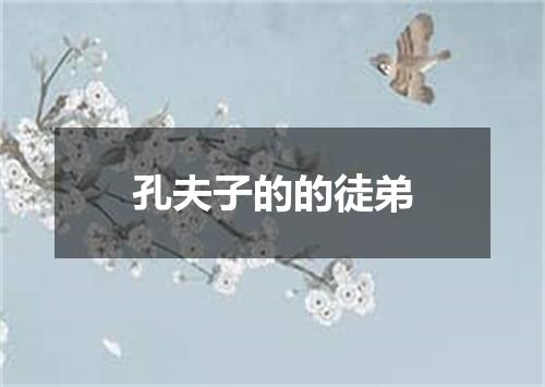 孔夫子的的徒弟