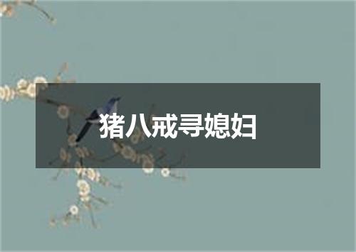 猪八戒寻媳妇