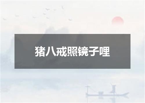 猪八戒照镜子哩