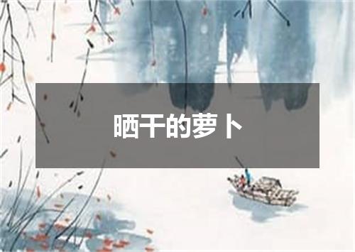 晒干的萝卜