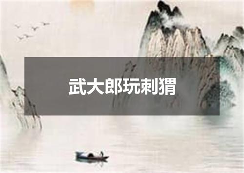 武大郎玩刺猬