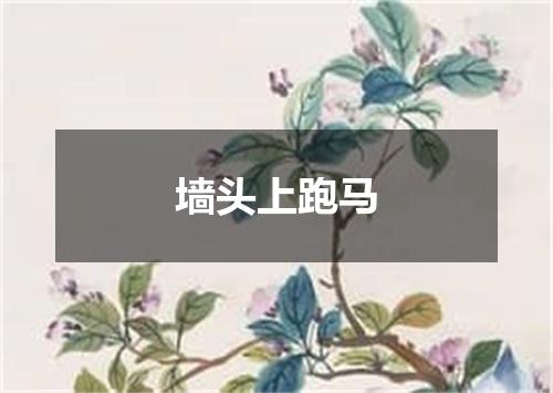 墙头上跑马