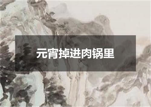 元宵掉进肉锅里