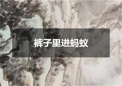 裤子里进蚂蚁