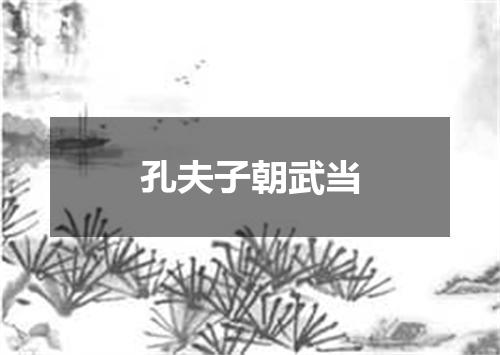 孔夫子朝武当
