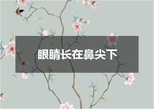 眼睛长在鼻尖下