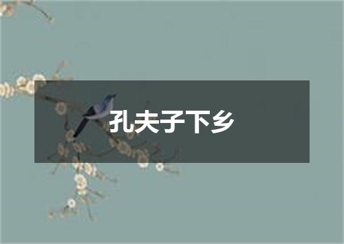 孔夫子下乡