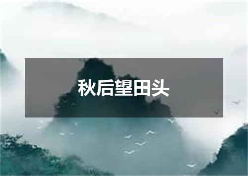 秋后望田头