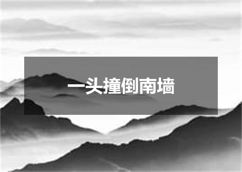 一头撞倒南墙