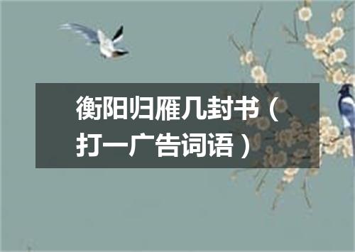衡阳归雁几封书（打一广告词语）