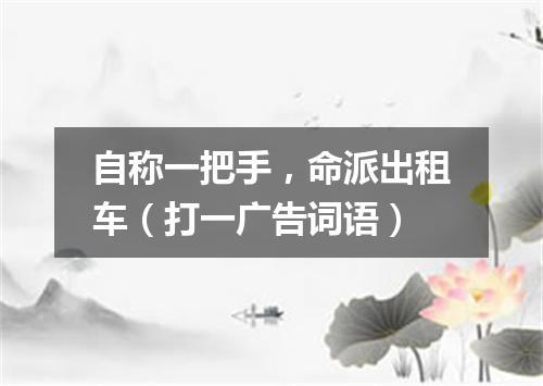 自称一把手，命派出租车（打一广告词语）