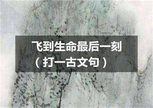 飞到生命最后一刻（打一古文句）