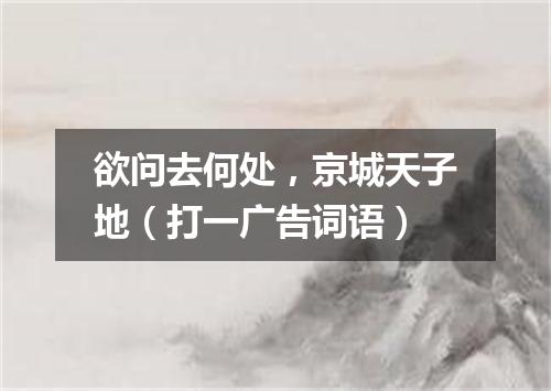 欲问去何处，京城天子地（打一广告词语）
