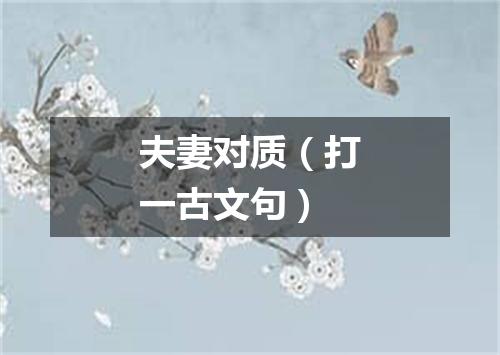 夫妻对质（打一古文句）