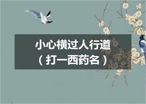 小心横过人行道（打一西药名）