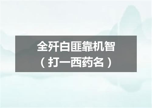 全歼白匪靠机智（打一西药名）