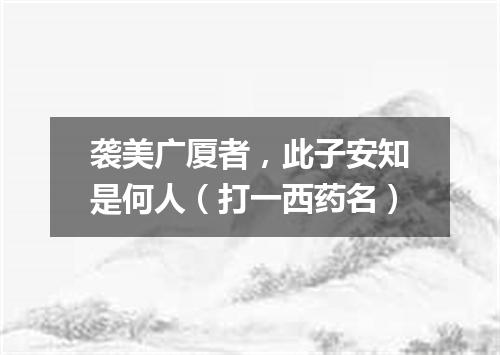 袭美广厦者，此子安知是何人（打一西药名）