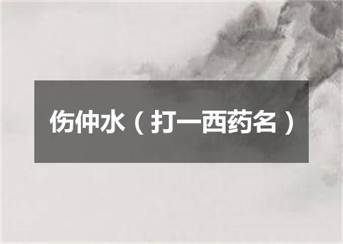 伤仲水（打一西药名）