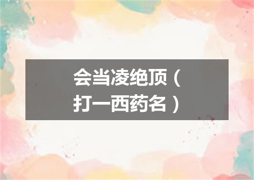 会当凌绝顶（打一西药名）