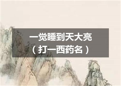 一觉睡到天大亮（打一西药名）