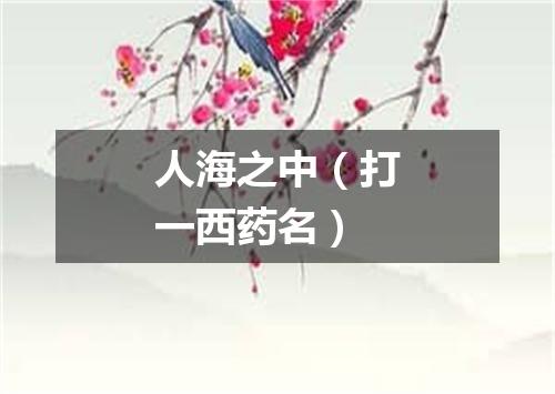 人海之中（打一西药名）