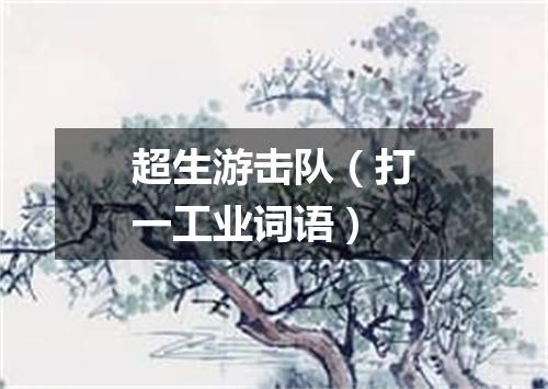超生游击队（打一工业词语）