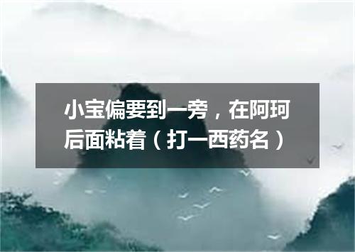 小宝偏要到一旁，在阿珂后面粘着（打一西药名）