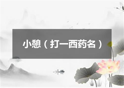 小憩（打一西药名）
