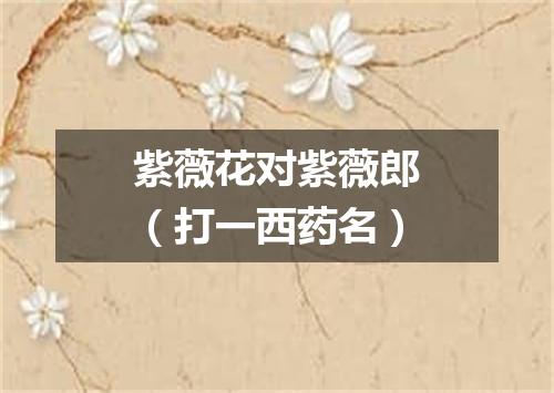 紫薇花对紫薇郎（打一西药名）
