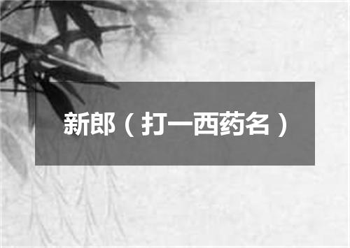 新郎（打一西药名）