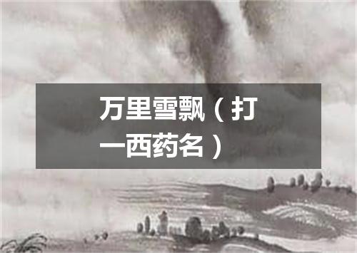 万里雪飘（打一西药名）