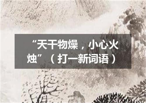 “天干物燥，小心火烛”（打一新词语）