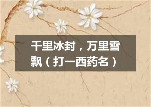 千里冰封，万里雪飘（打一西药名）