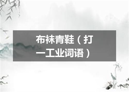 布袜青鞋（打一工业词语）