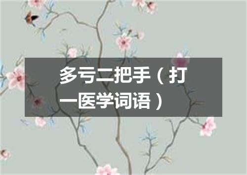 多亏二把手（打一医学词语）