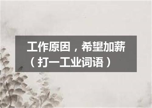 工作原因，希望加薪（打一工业词语）