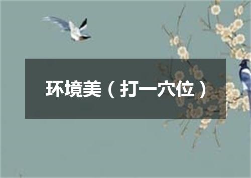 环境美（打一穴位）