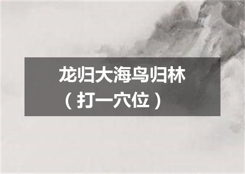 龙归大海鸟归林（打一穴位）