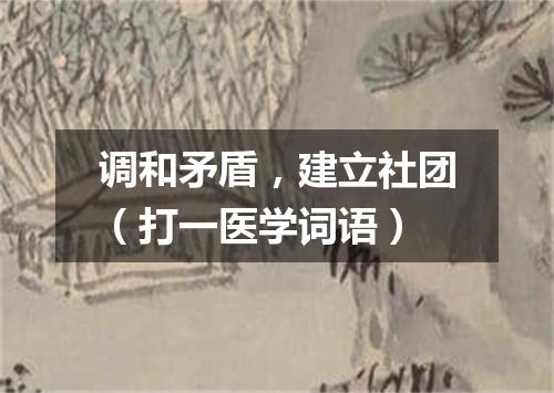 调和矛盾，建立社团（打一医学词语）