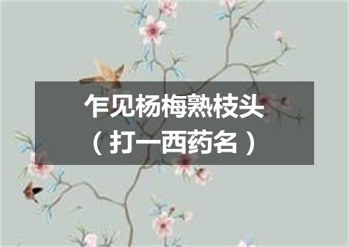 乍见杨梅熟枝头（打一西药名）