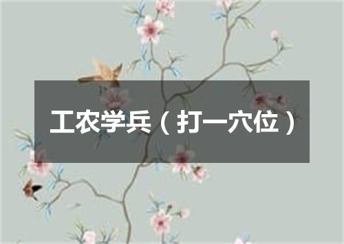 工农学兵（打一穴位）